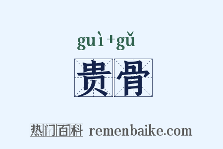贵骨是什么意思的图片